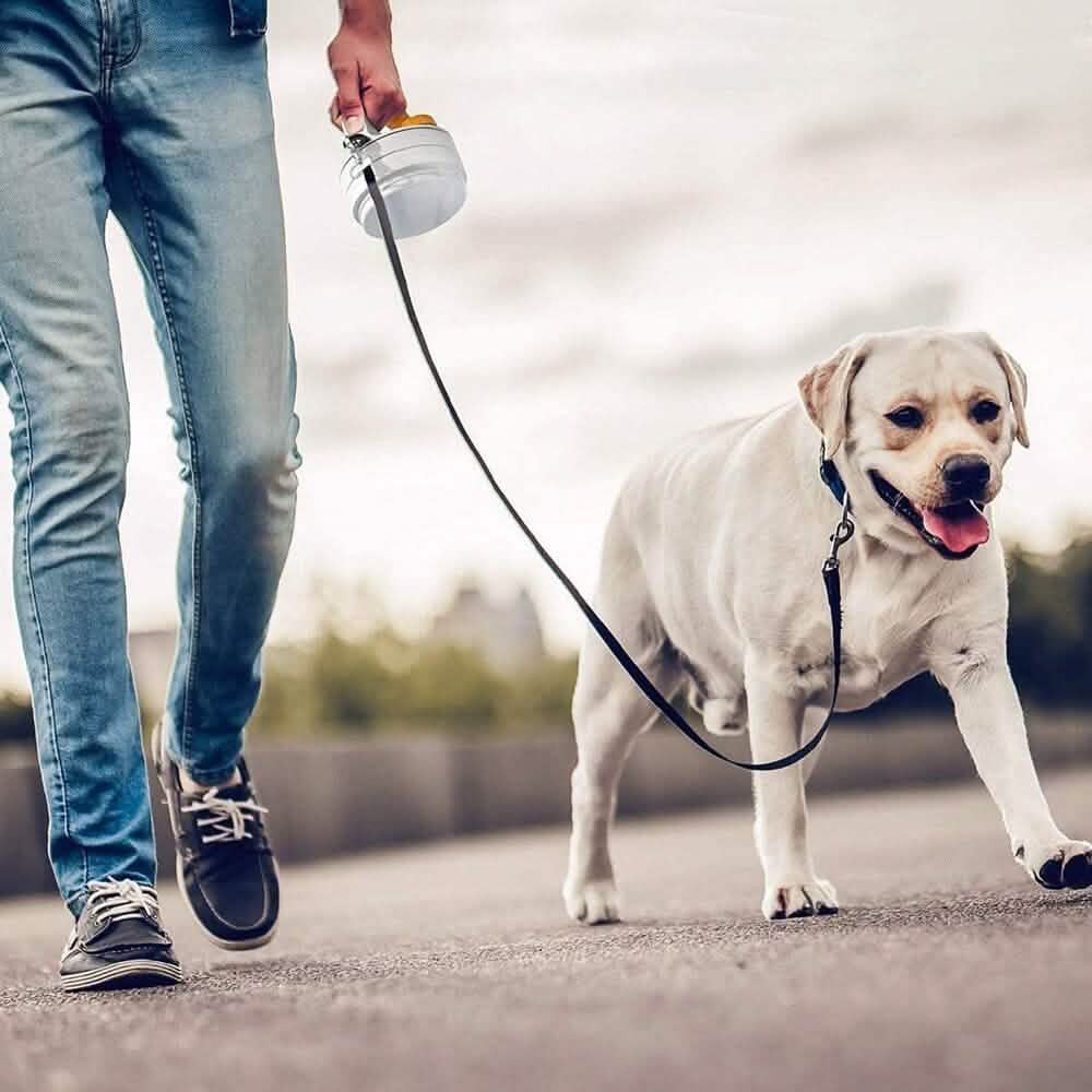 4-in-1 SitStayGo Grab n' Go Pet Dinette and Leash Pet Supplies - DailySale