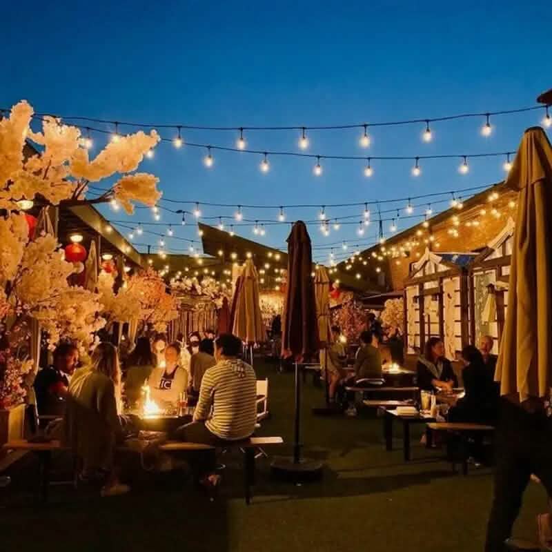 50 Ft. Solar String Outdoor Lights with Remote ST38 Vintage Edison Bulbs Outdoor Lighting - DailySale