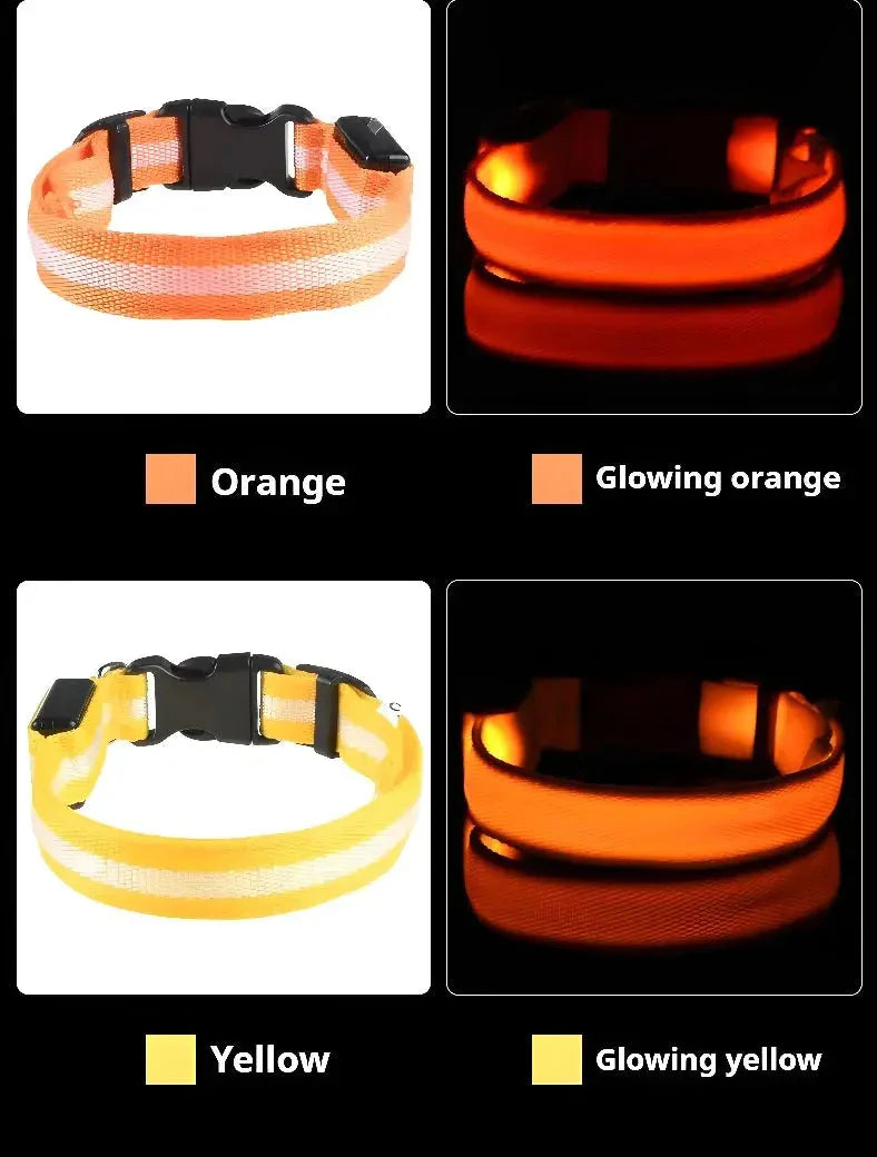 LED Dog Collar Nylon
