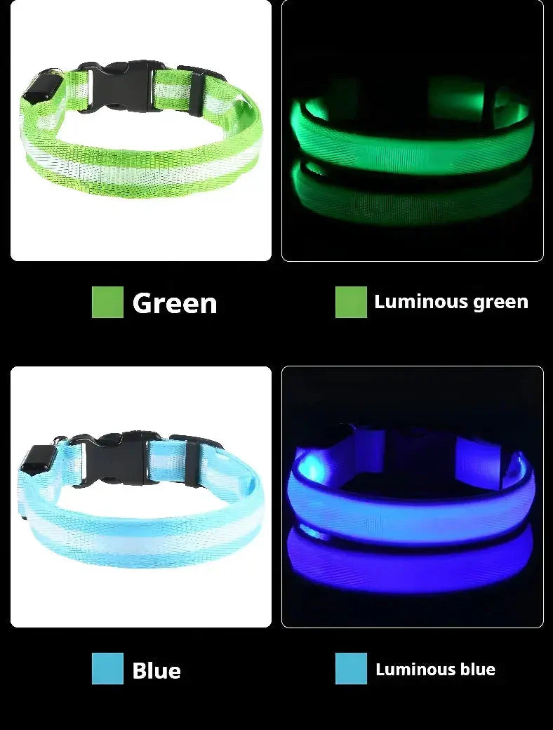 LED Dog Collar Nylon