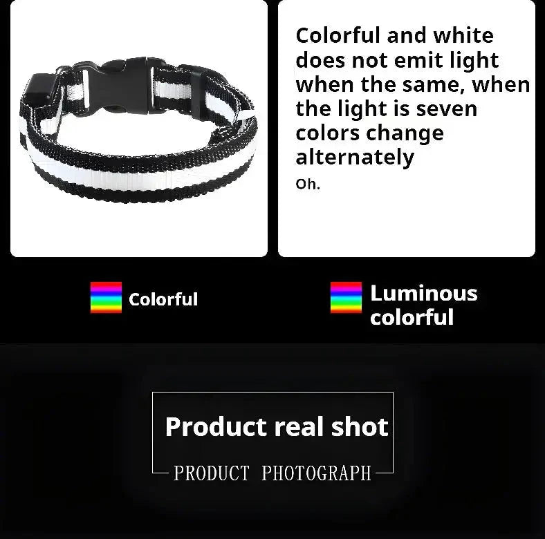 LED Dog Collar Nylon