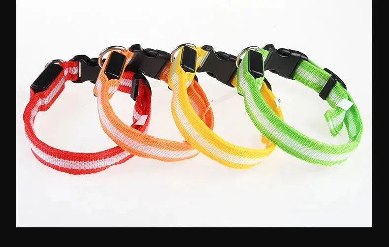 LED Dog Collar Nylon