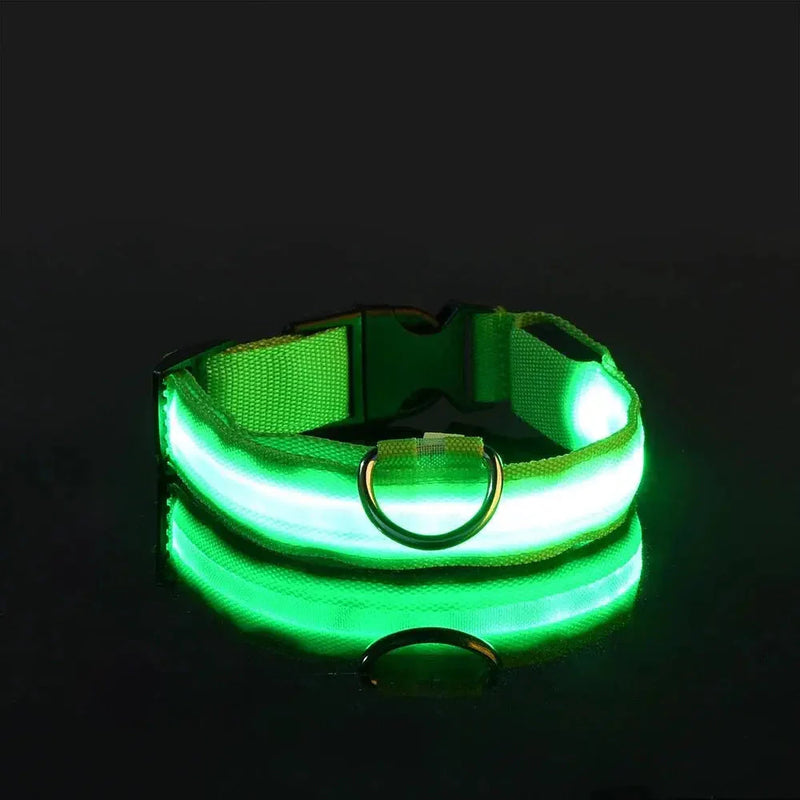 LED Dog Collar Nylon