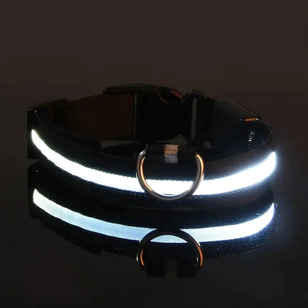 LED Dog Collar Nylon