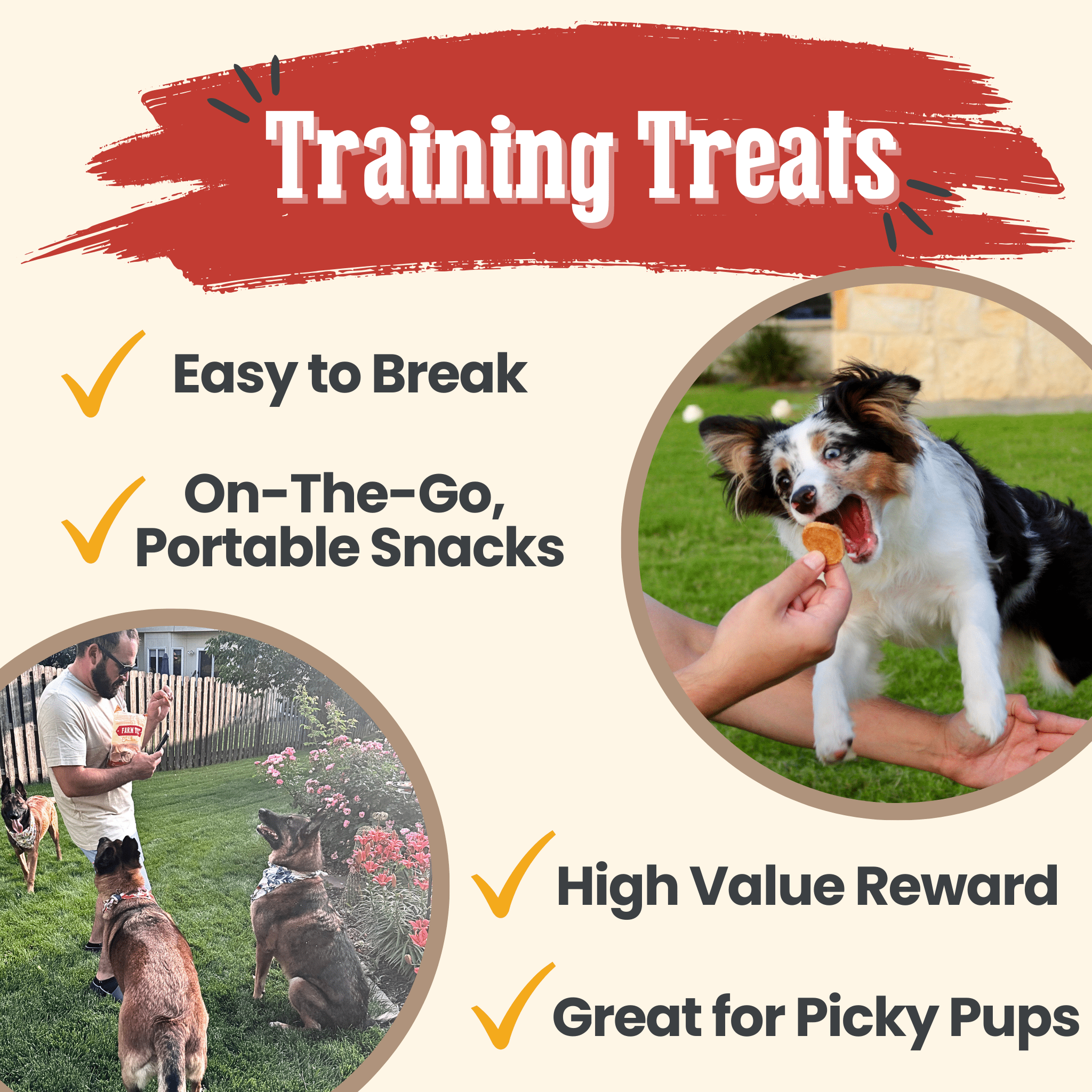 Chicken Chips for Dogs - All-Natural Single-Ingredient Treats