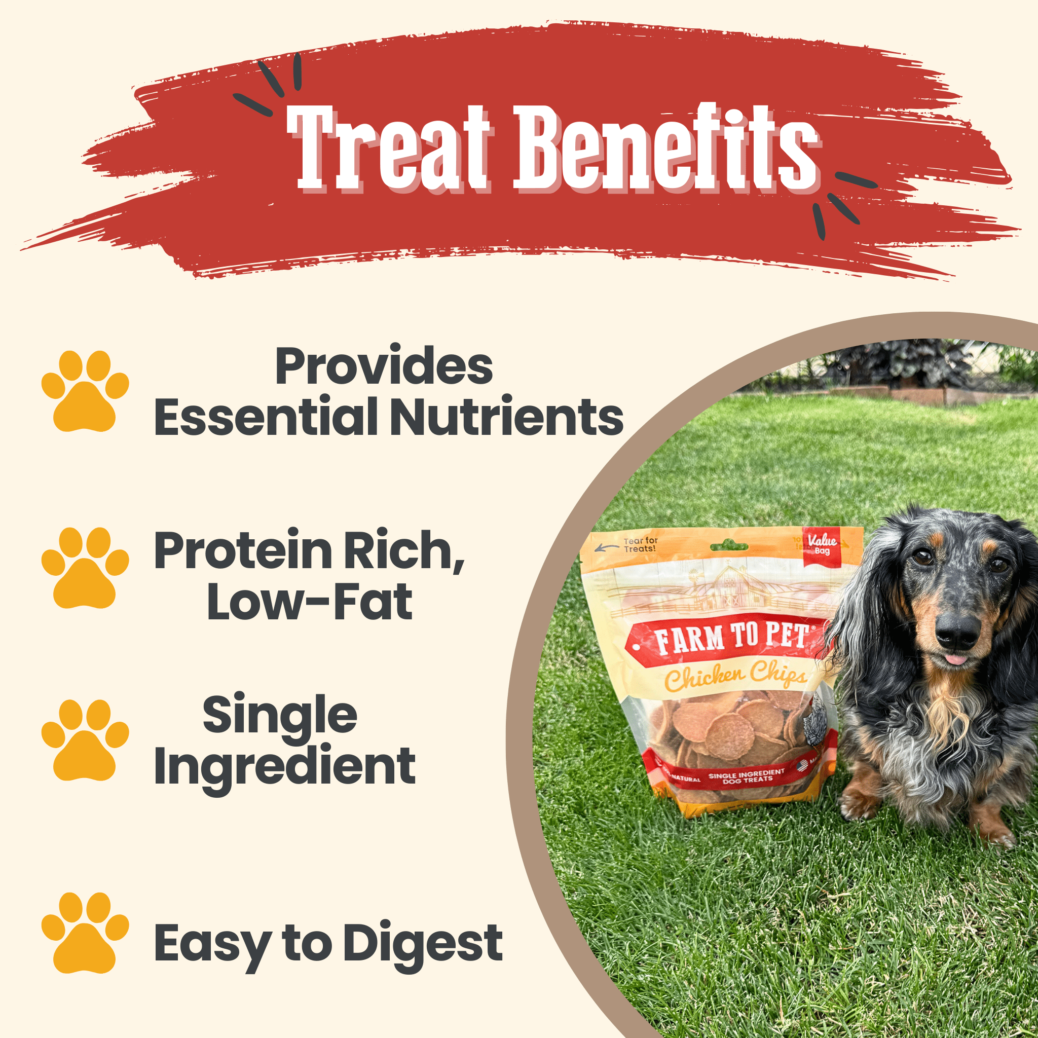 Chicken Chips for Dogs - All-Natural Single-Ingredient Treats