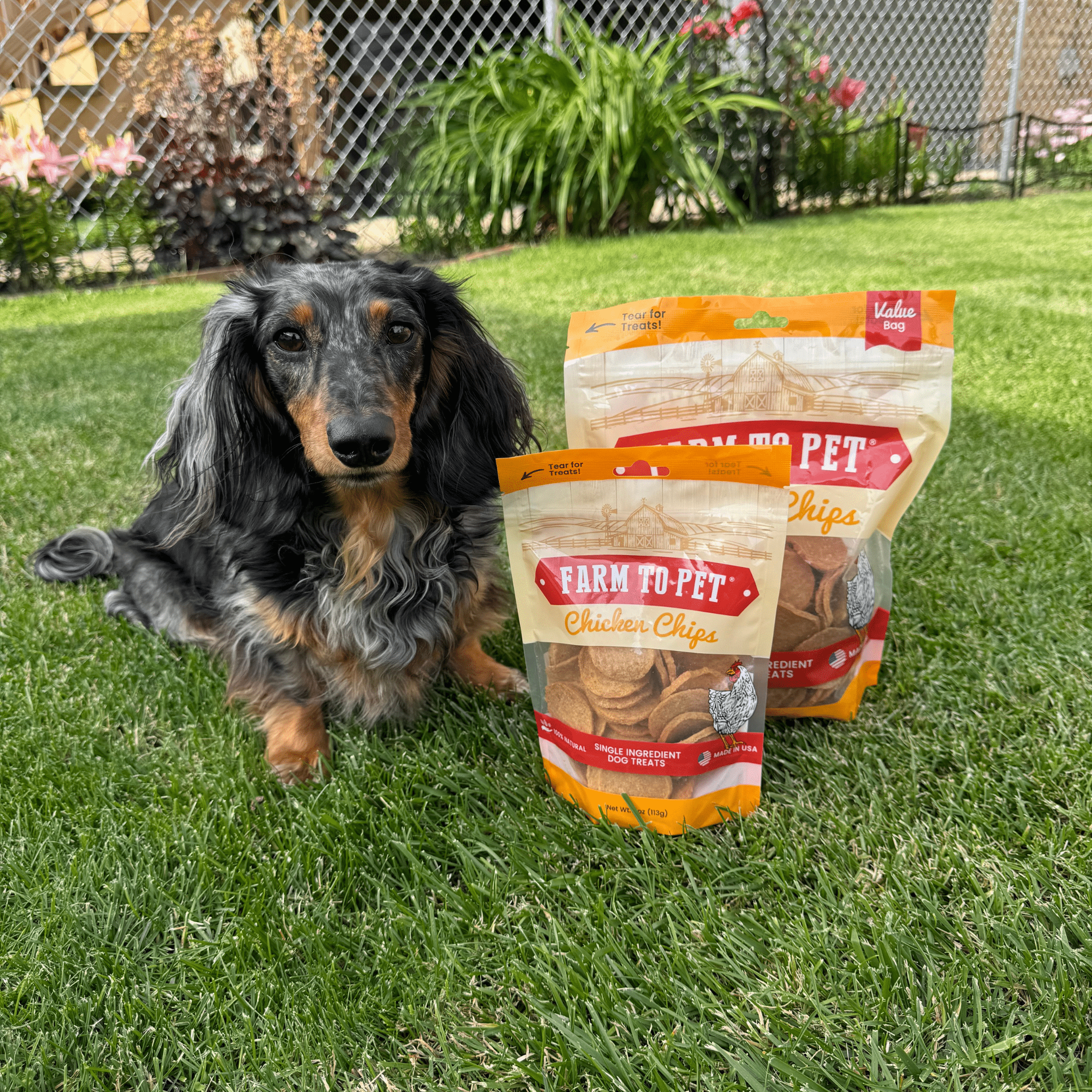 Chicken Chips for Dogs - All-Natural Single-Ingredient Treats