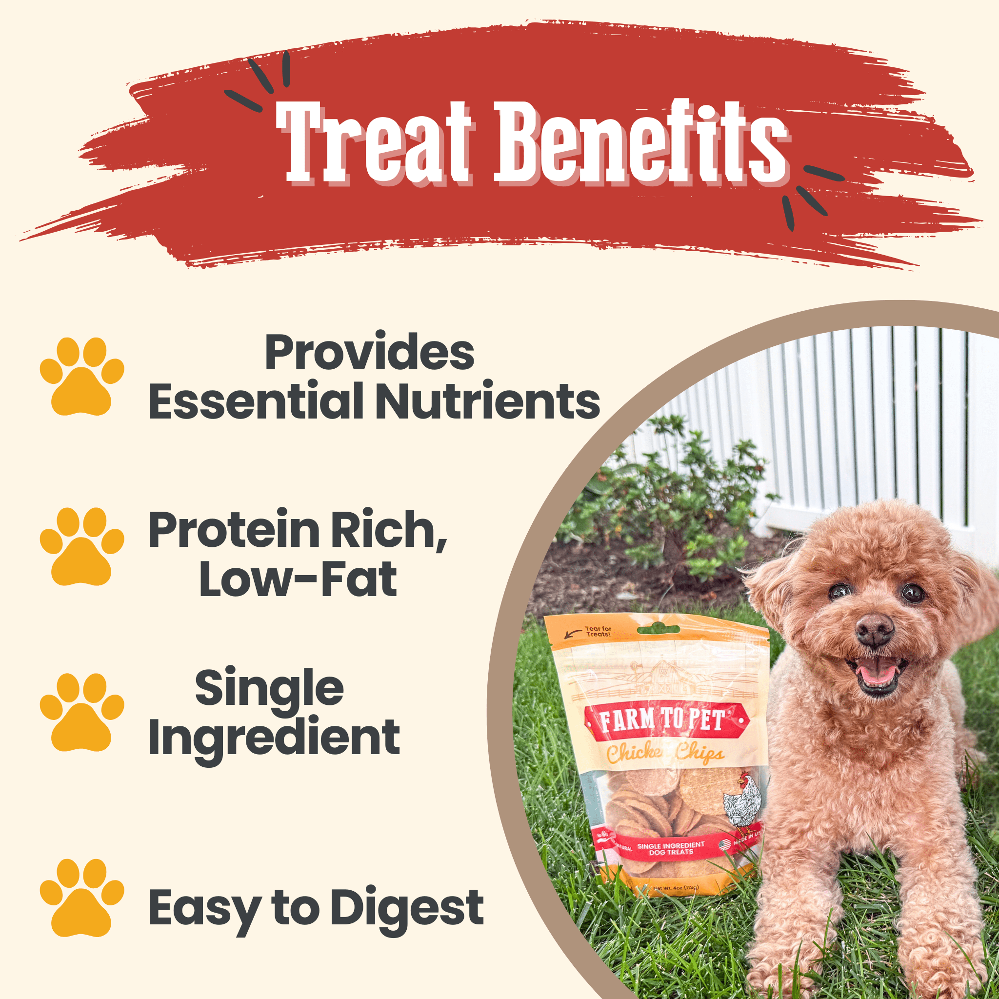 Chicken Chips for Dogs - All-Natural Single-Ingredient Treats