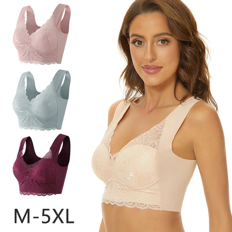 Free Wire Brassiere For Women Push Up Padding Sexy Lace