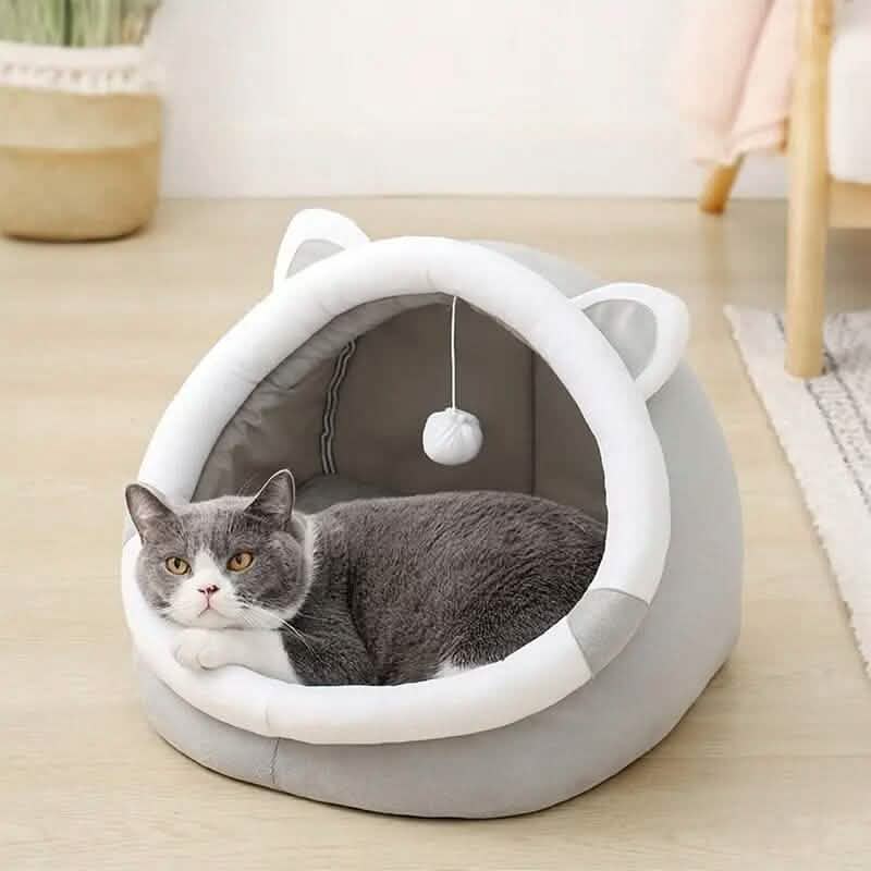 Contemporary Polyester Fiber Cat Bed Pet Supplies XS - DailySale