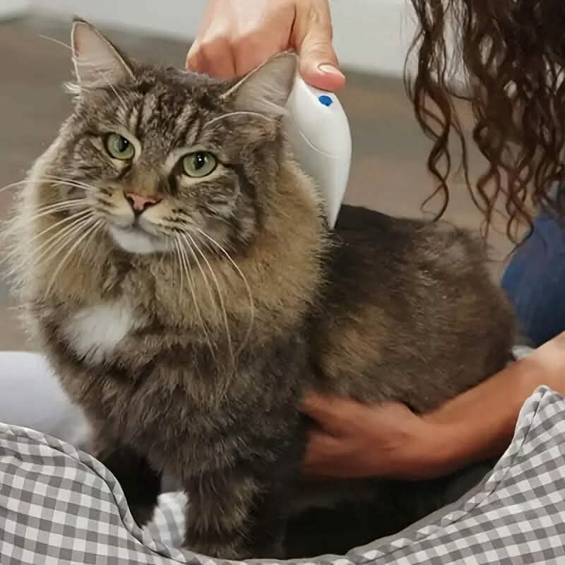 Electric Flea Comb for Cats and Dogs Pet Supplies - DailySale