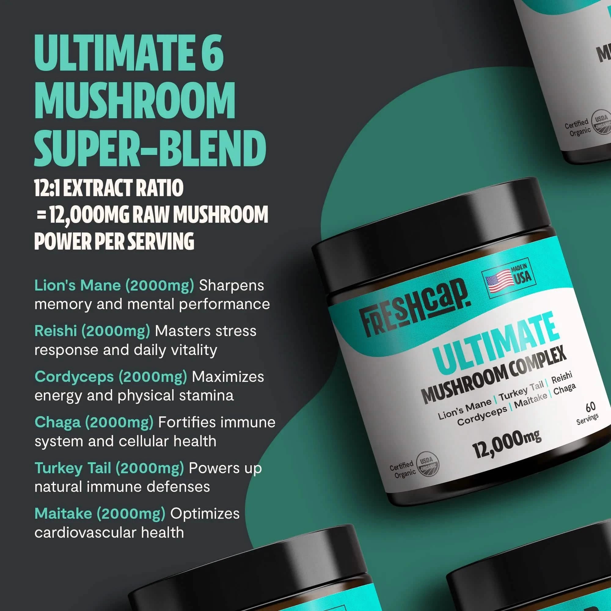 Organic Mushroom Extract Powder Blend