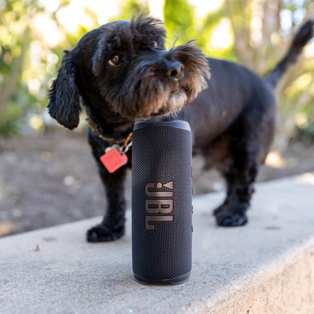 JBL Flip 6 Portable Bluetooth Speaker (Refurbished) Speakers - DailySale