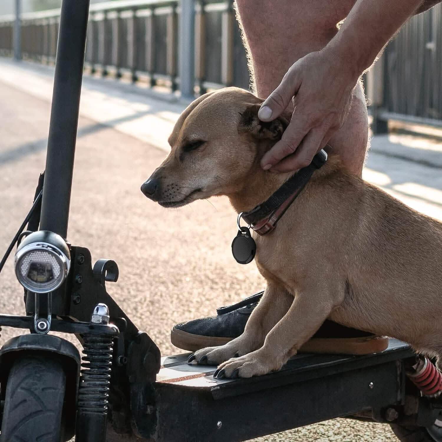 Keychain Holder Compatible with Apple AirTags Mobile Accessories - DailySale