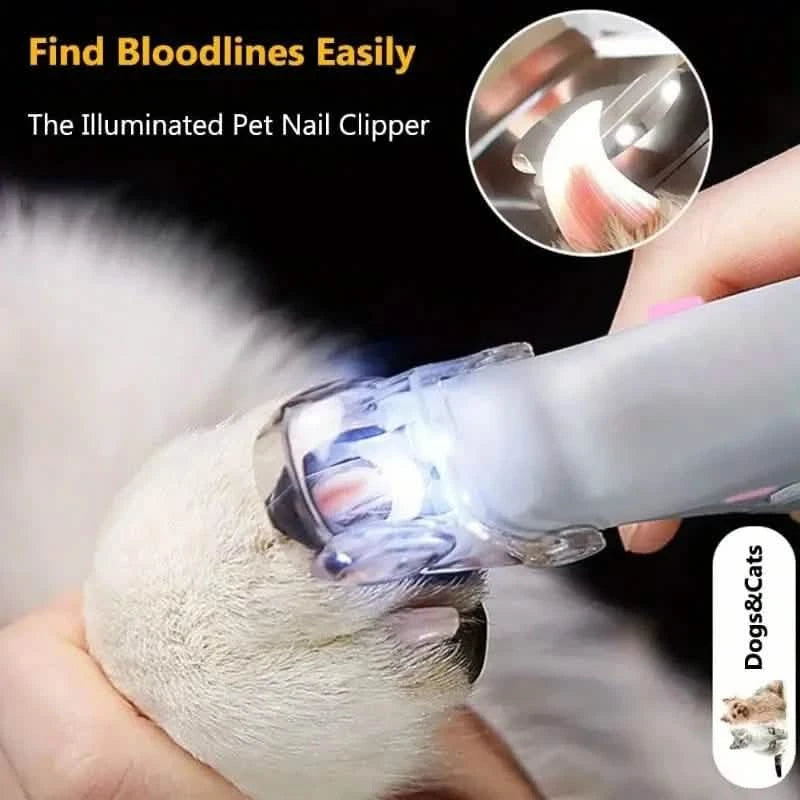 LED Light Pet Nail Clippers with Illumination for Safe Trimming Pet Supplies - DailySale