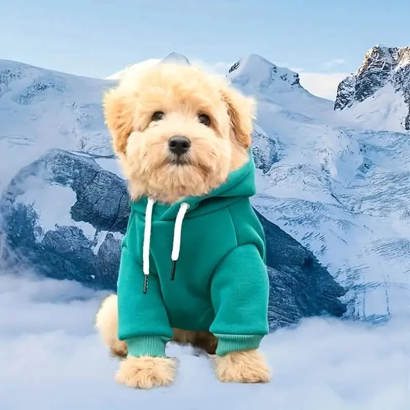 Pet Sweatshirt Hoodie With Pocket in the Back for Small Dogs Pet Supplies - DailySale