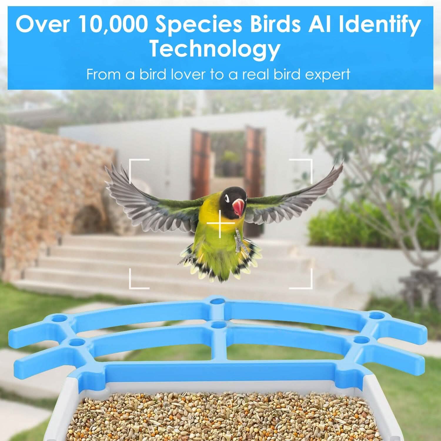 Solar Powered Smart Bird Feeder with PIR Motion AI Two-Way Audio Pet Supplies - DailySale