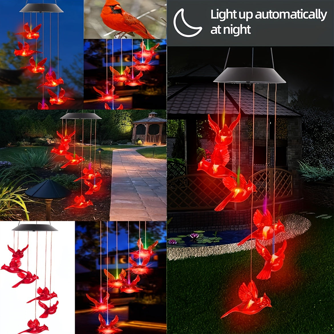 Cardinals lit in changing colors along a garden path at night