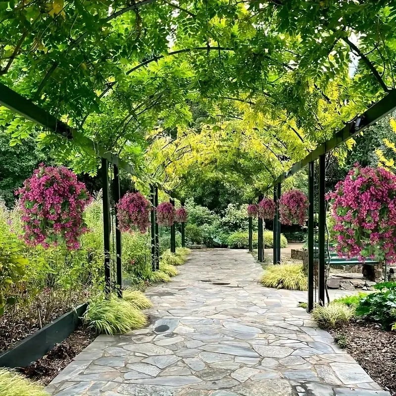 Vines hung along a garden archway