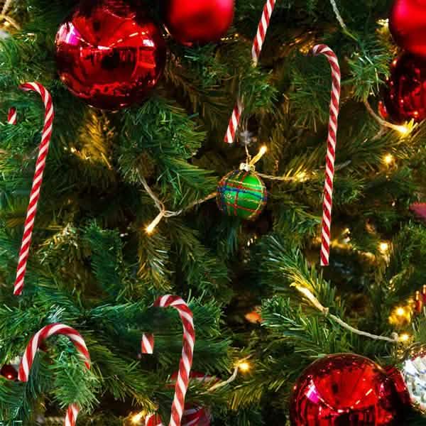 10-Piece: Plastic Candy Cane Ornaments Holiday Decor & Apparel - DailySale