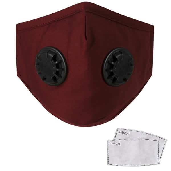 10-Pieces: Double Breathing Valve PM 2.5 Mask Respirator Face Masks & PPE Red - DailySale