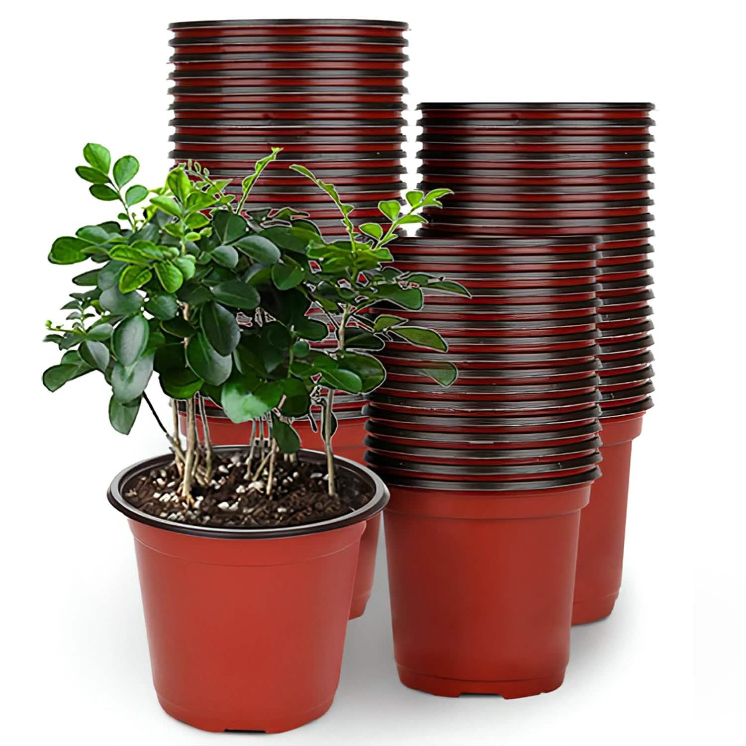 100Piece Plastic Plant Nursery Pots