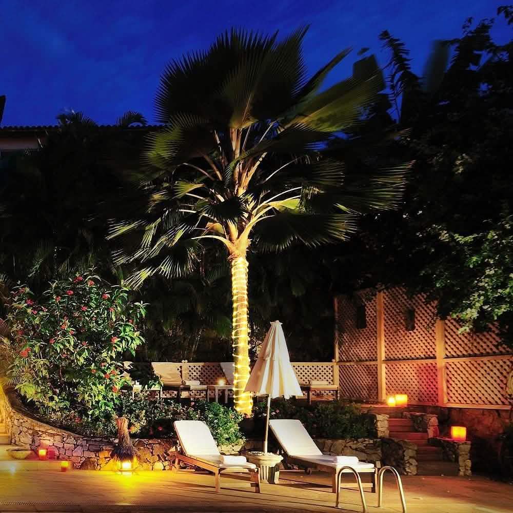 100LED Solar Power Fairy String Rope Light - Warm White Garden & Patio - DailySale