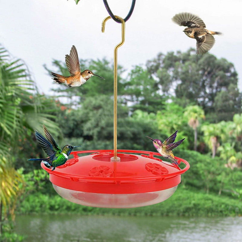 12 Oz Hummingbird Feeder Garden & Patio - DailySale