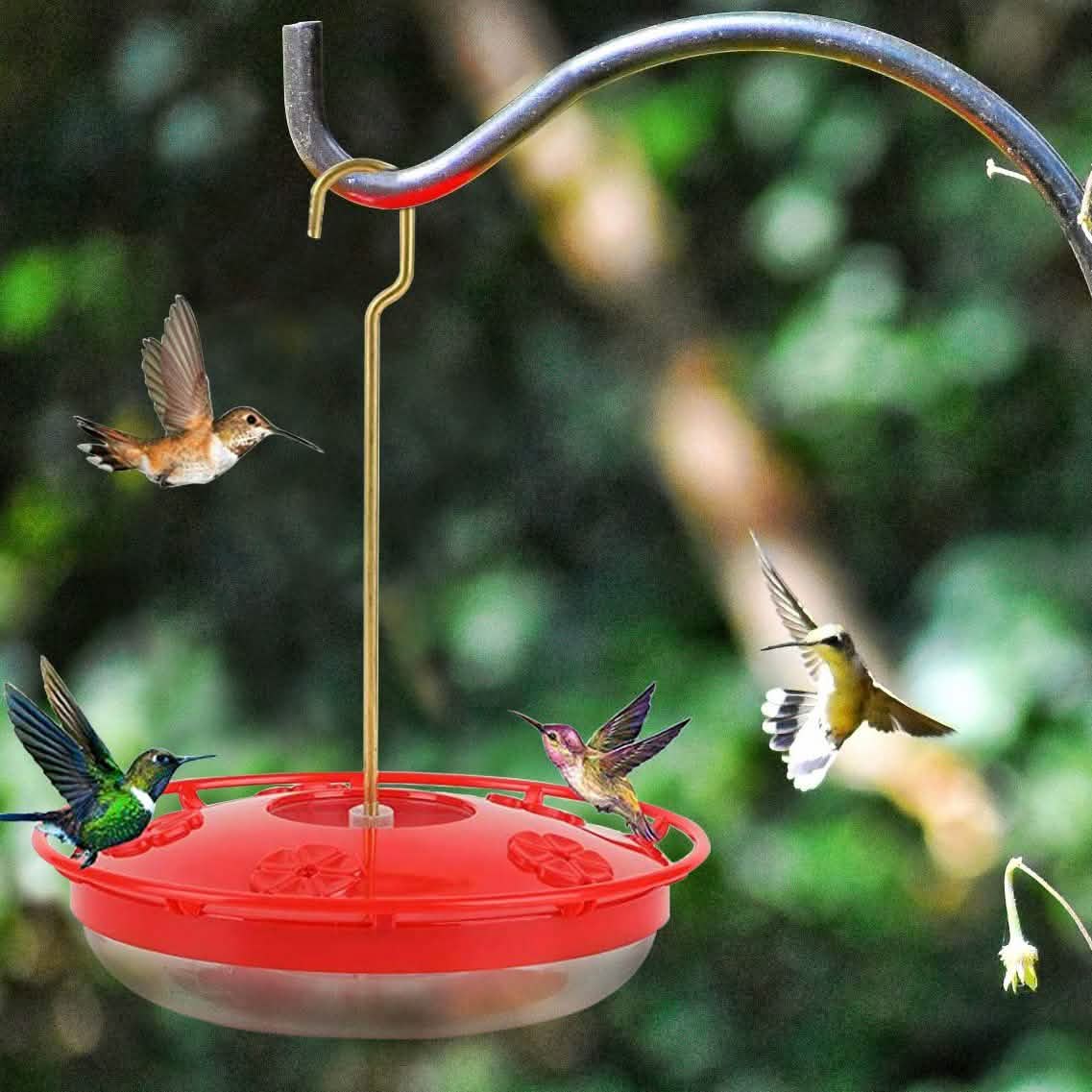 12 Oz Hummingbird Feeder Garden & Patio - DailySale