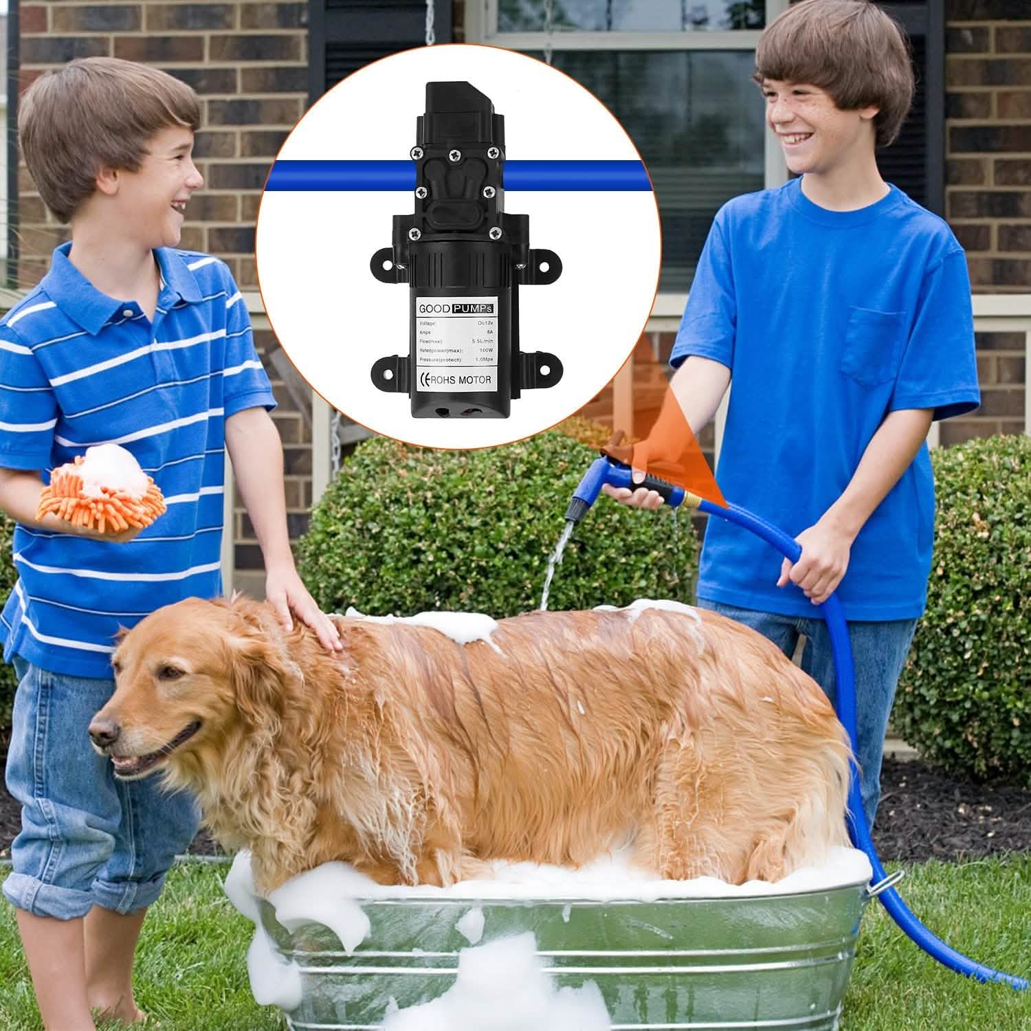 garden hose pump sprayer 12V Water Pump with 2 Hose Clamps 123PSI Self Priming Sprayer Pump
