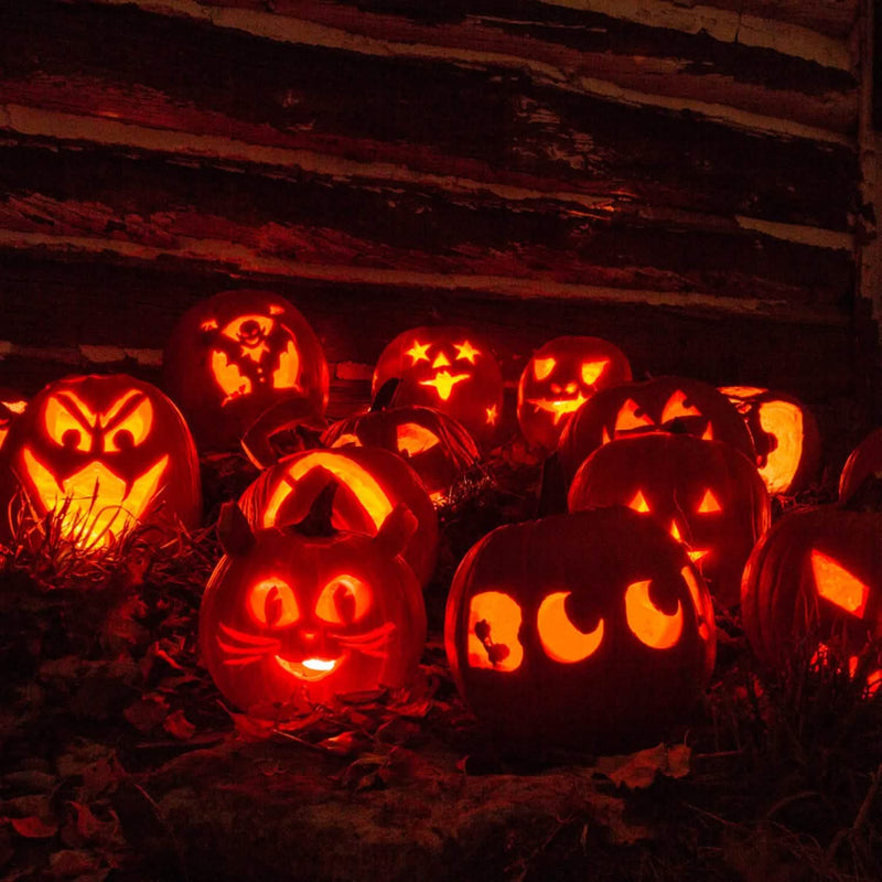 13-Pieces: Halloween Pumpkin Stainless Steel Carving Kit Arts & Crafts - DailySale