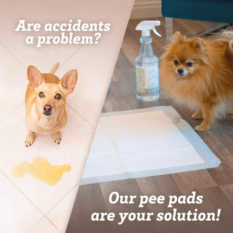 150-Pack: Puppy Pads Dog Pee Pad for Potty Training Dogs & Cats Pet Supplies - DailySale