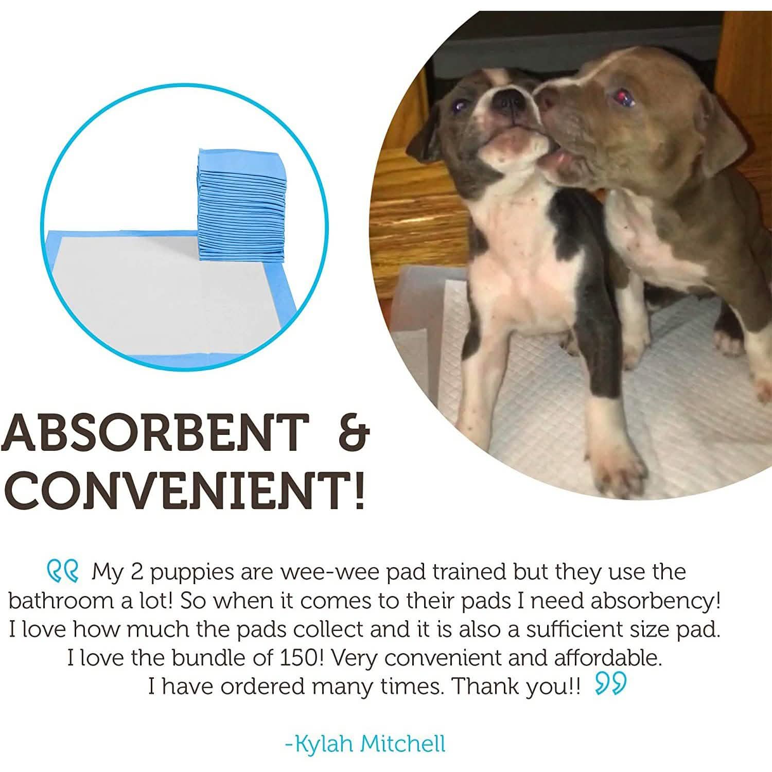 150-Pack: Puppy Pads Dog Pee Pad for Potty Training Dogs & Cats Pet Supplies - DailySale