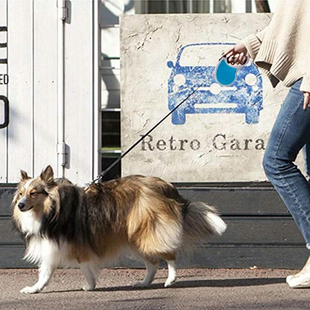 16ft Automatic Retractable Dog Cat Leashe Pet Supplies - DailySale