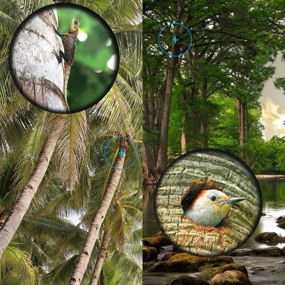 16x52 Monocular Dual Focus Optics Zoom Telescope Sports & Outdoors - DailySale
