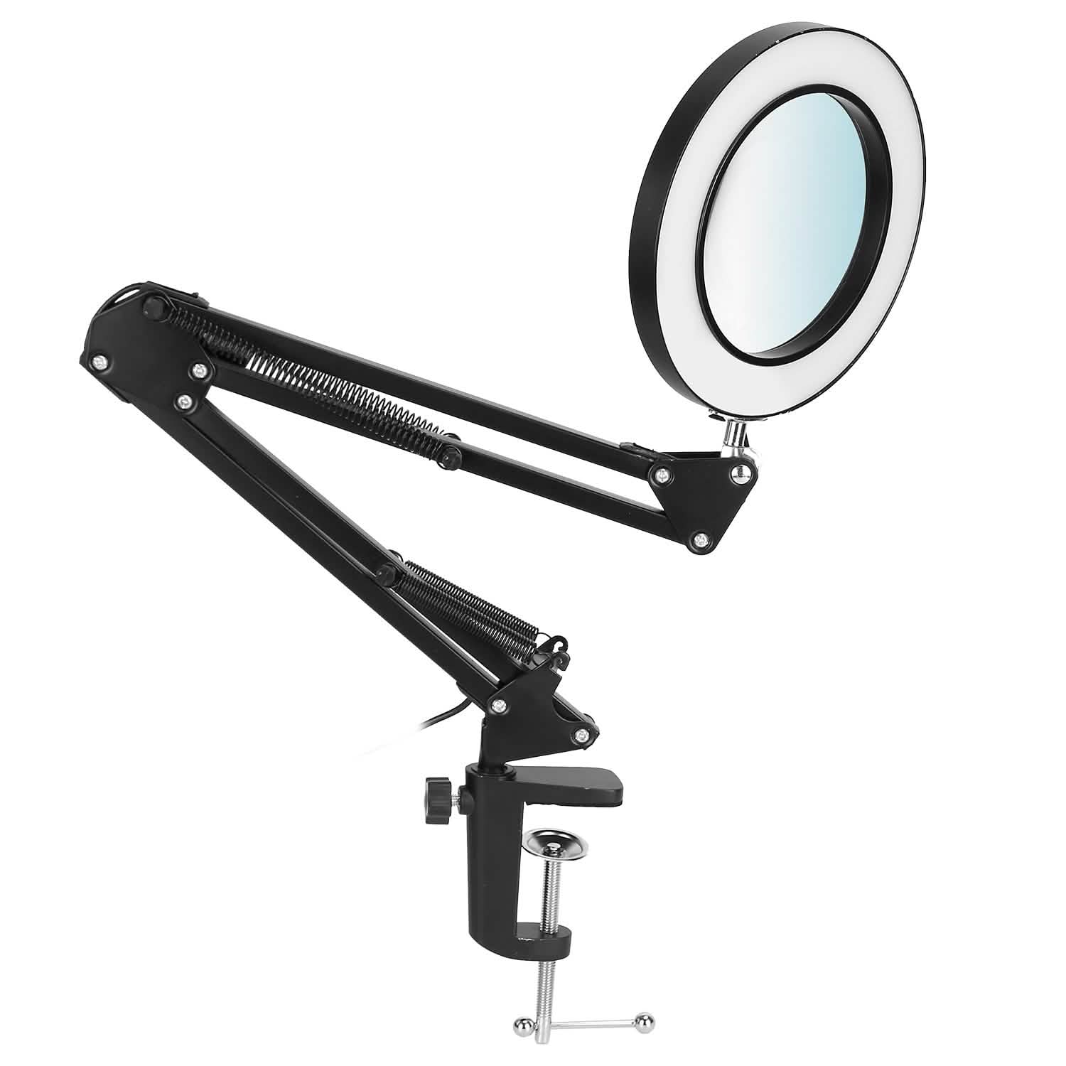 2-in-1 LED Magnifier Desk Lamp with 8x Magnifying Glass Indoor Lighting - DailySale