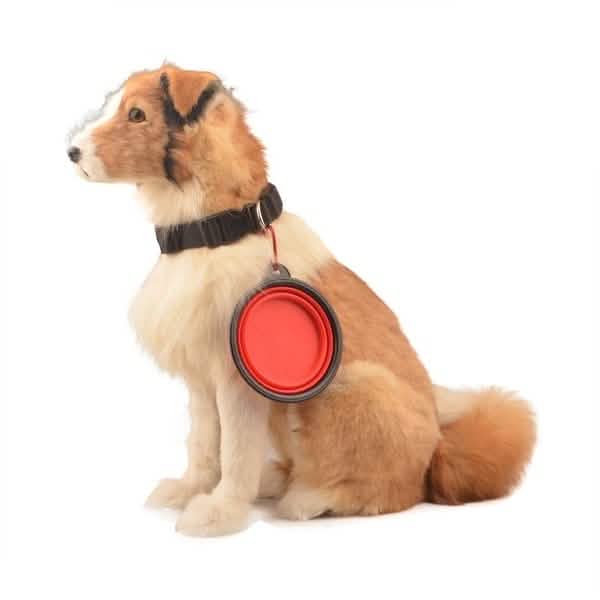 2-Pack: Collapsible Food Water Travel Bowl Pet Supplies - DailySale