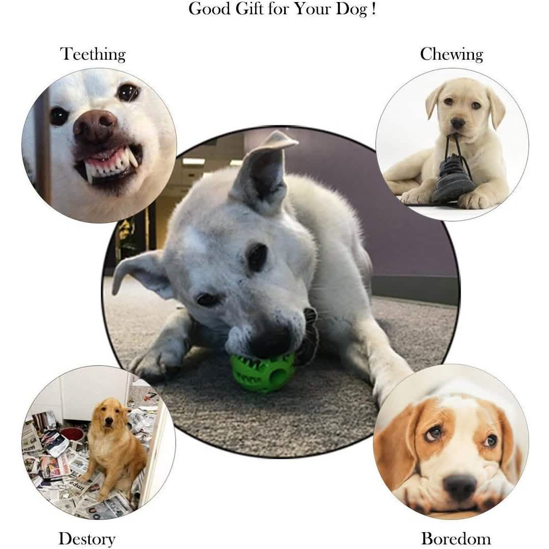 2-Pack: Dog Teething Toy Balls Pet Supplies - DailySale