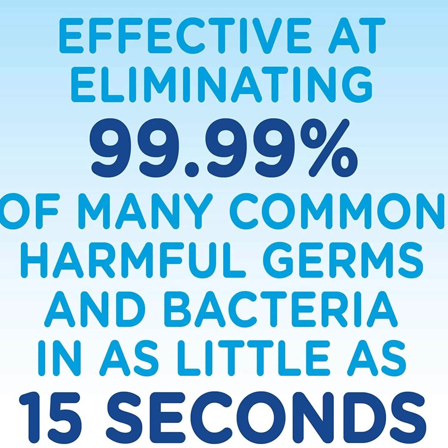 2-Pack: Germ-X Fresh Citrus Hand Sanitizer Wellness & Fitness - DailySale