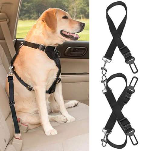 2-Pack: Multipurpose Pet Safety Pet Supplies - DailySale
