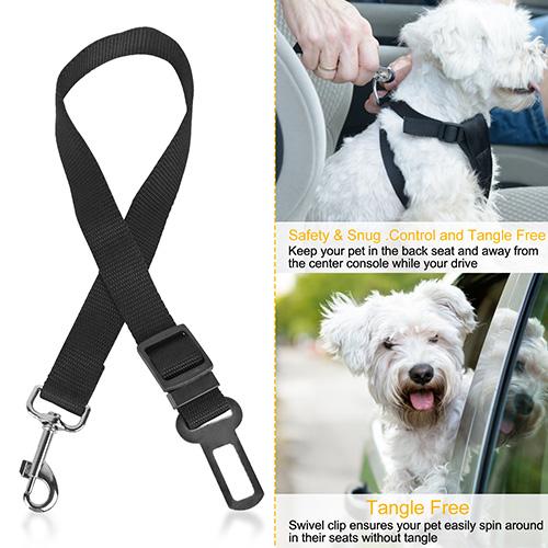 2-Pack: Multipurpose Pet Safety Pet Supplies - DailySale