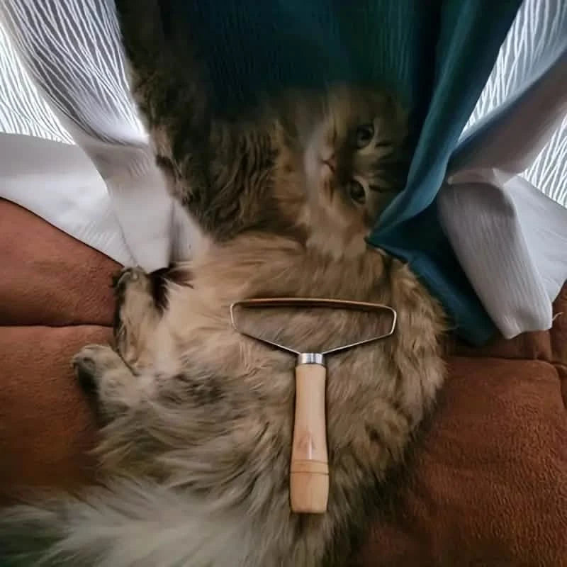 2-Pack: Pet Hair Remover Brush Manual Lint Roller Pet Supplies - DailySale