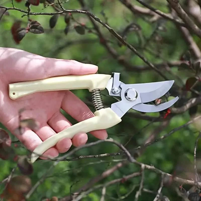 2-Pack: Stainless Steel Bypass Pruning Shears Garden & Patio - DailySale
