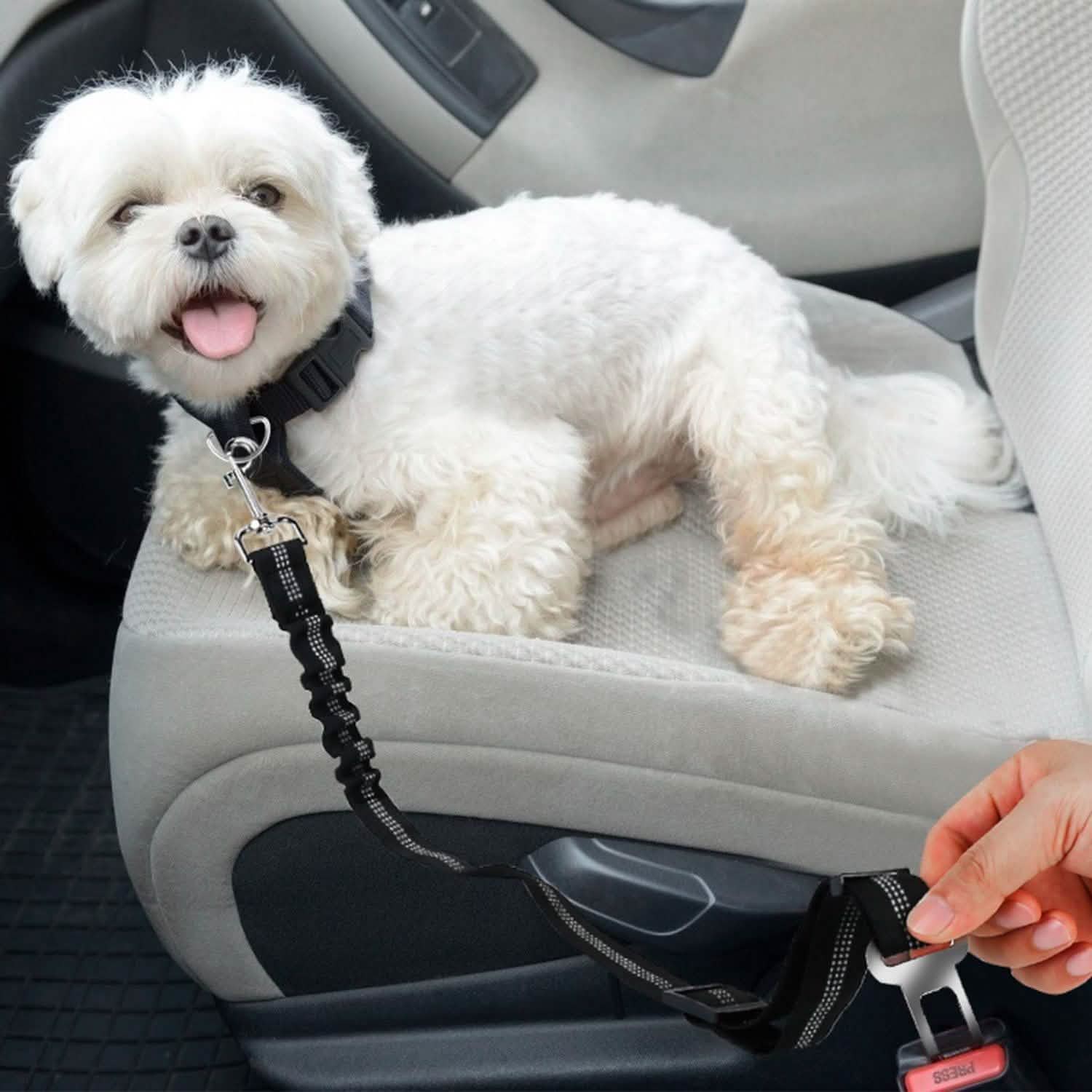 2-Piece: Pet Car Safety Seatbelt Pet Supplies - DailySale