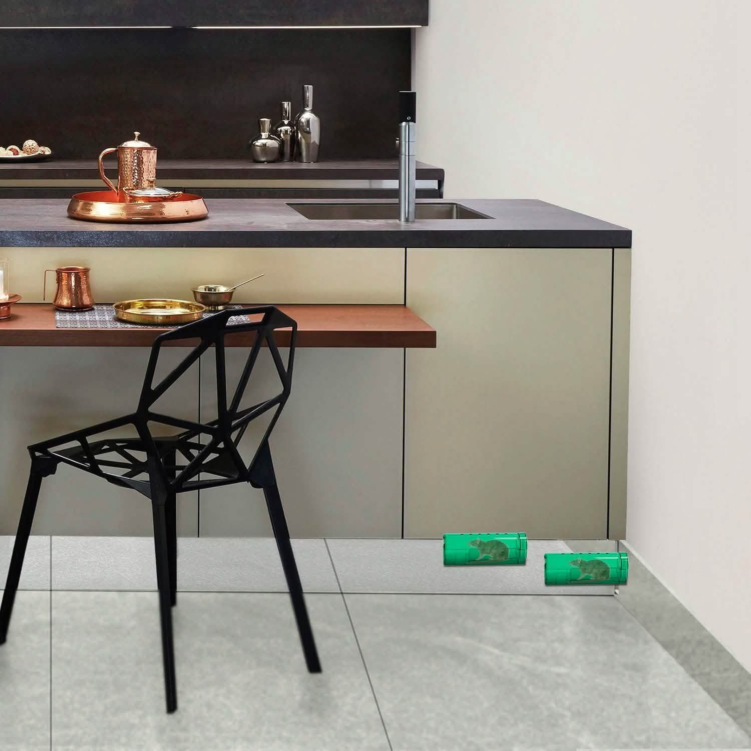 2-Pieces: Reusable Humane Mouse Trap Pest Control - DailySale