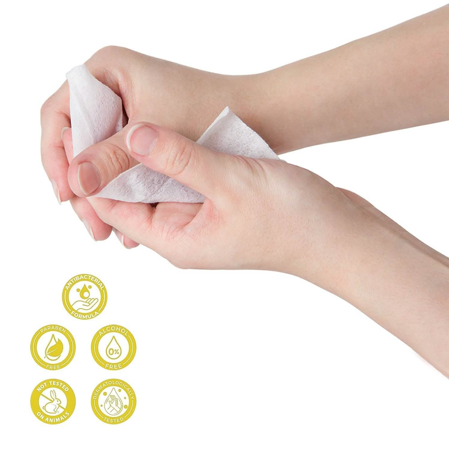 3-Pack Of Fresh N Clean Antibacterial Wipes Face Masks & PPE - DailySale