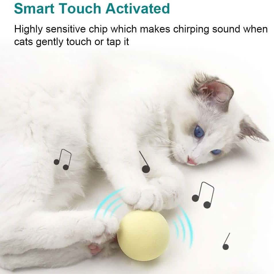 3-Pack: Realistic Chirping Balls Cat Toys Pet Supplies - DailySale