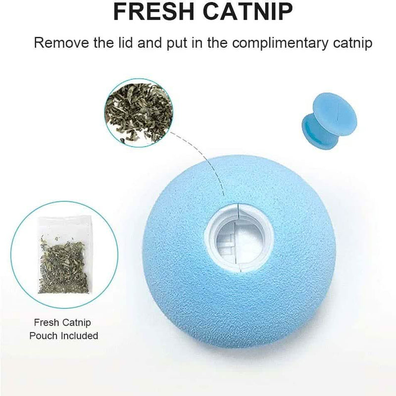3-Pack: Realistic Chirping Balls Cat Toys Pet Supplies - DailySale