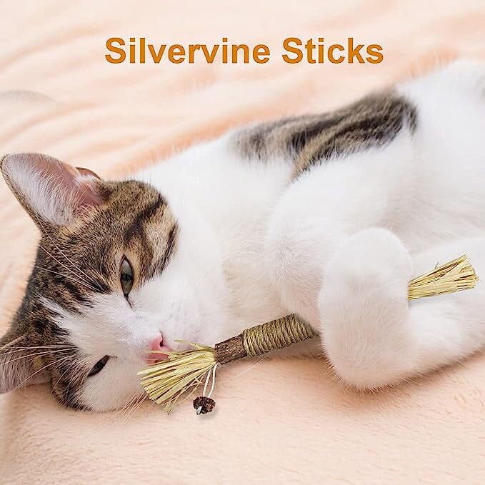 3-Pack: Silvervine Sticks Cat Toys Pet Supplies - DailySale