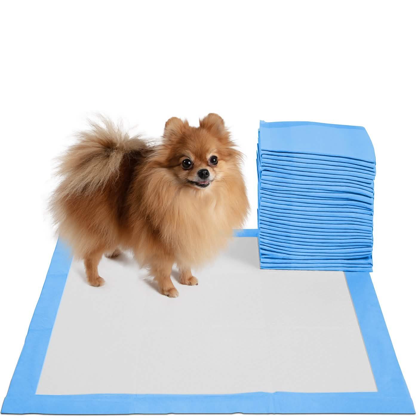 30-Pack: Paws & Pals Puppy Pee Pads Potty Training Leak-Proof Pet Supplies - DailySale